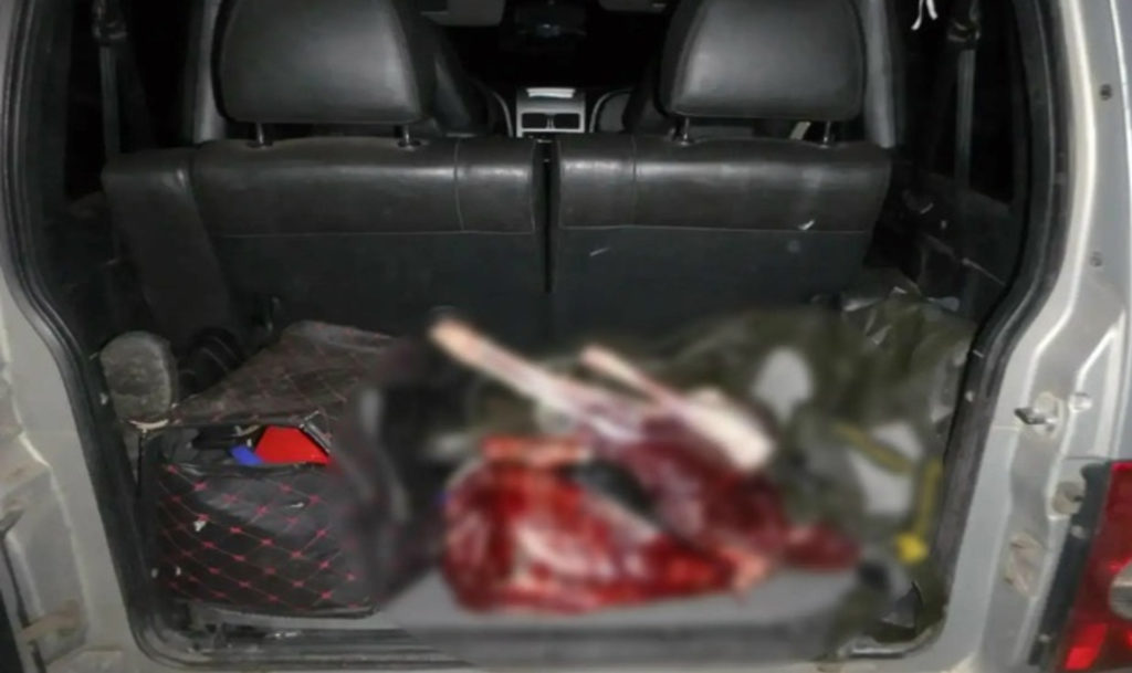 Ехал прямо с трупом! В Нагайбакском районе поймали браконьера